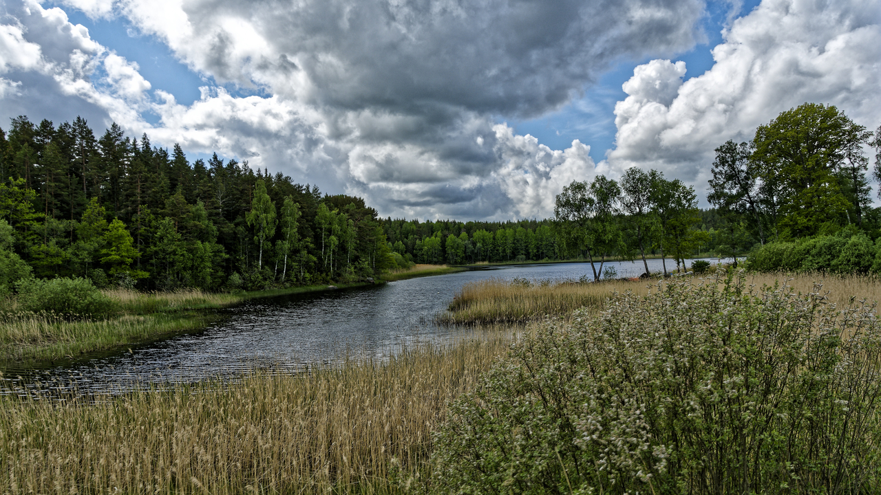 20220601 115941~Almunge~Uppsala~Sweden